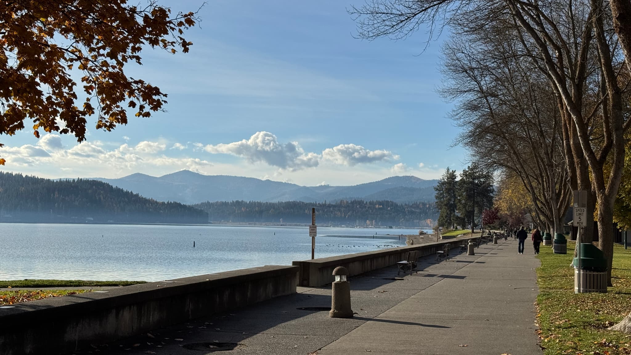 Marina and boat docks along a rocky pine-covered bluff on a Northern Idaho lake