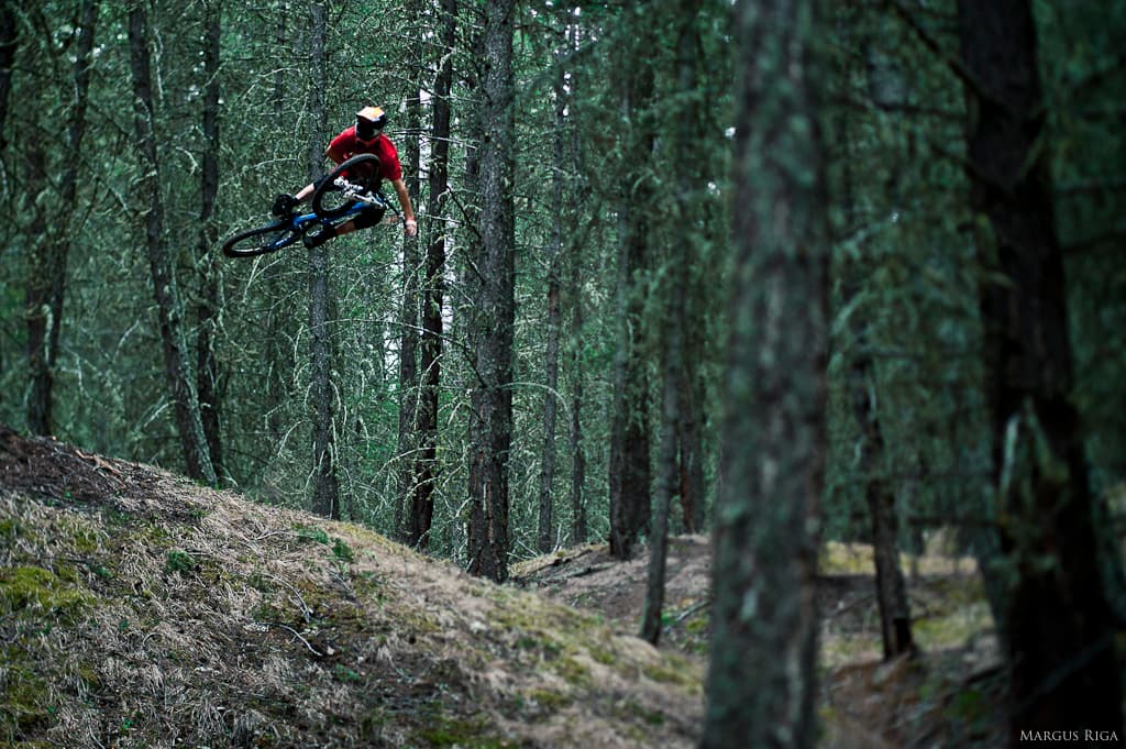 Mountain biker riding through a pine forest in Northern Idaho